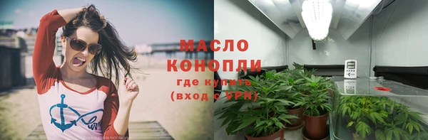 индика Михайловск