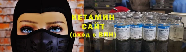 индика Михайловск