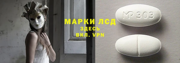индика Михайловск