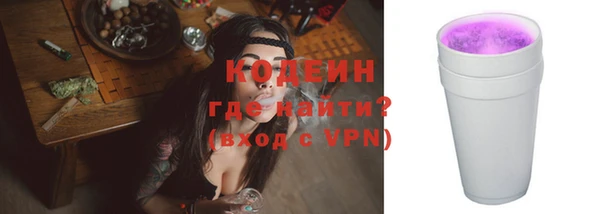 индика Михайловск