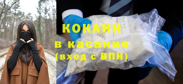 индика Михайловск