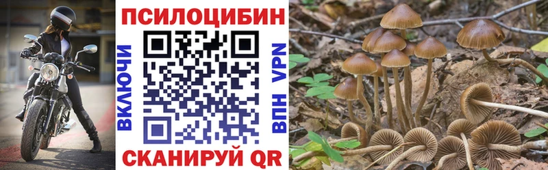 наркошоп  Карталы  Галлюциногенные грибы MAGIC MUSHROOMS 