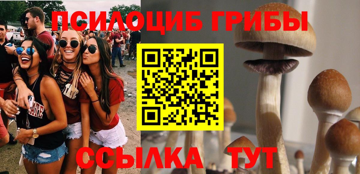 Псилоцибиновые грибы прущие грибы Карталы