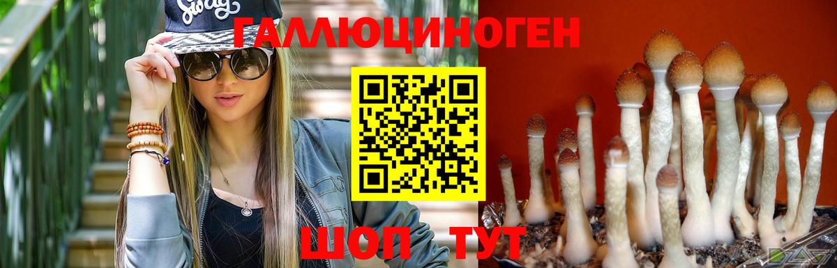 Галлюциногенные грибы GOLDEN TEACHER  купить наркоту  Карталы 